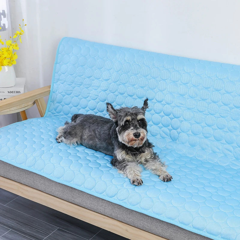 Dog Cooling Mat in Summer