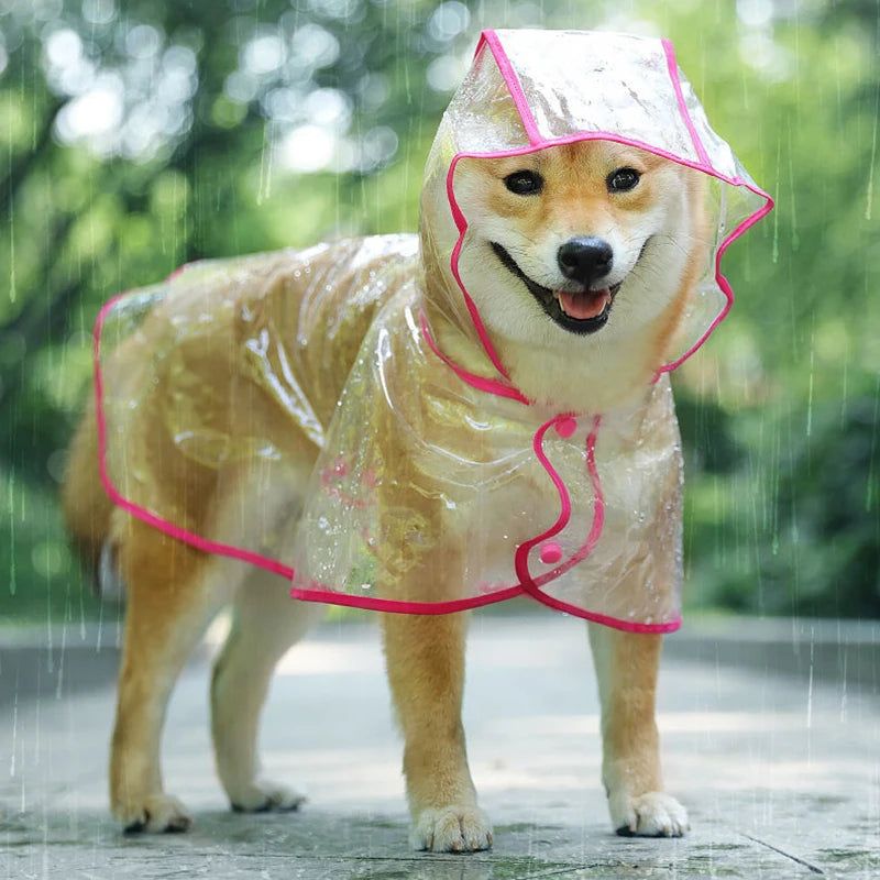 Pet Dog Puppy Transparent Rainwear Raincoat