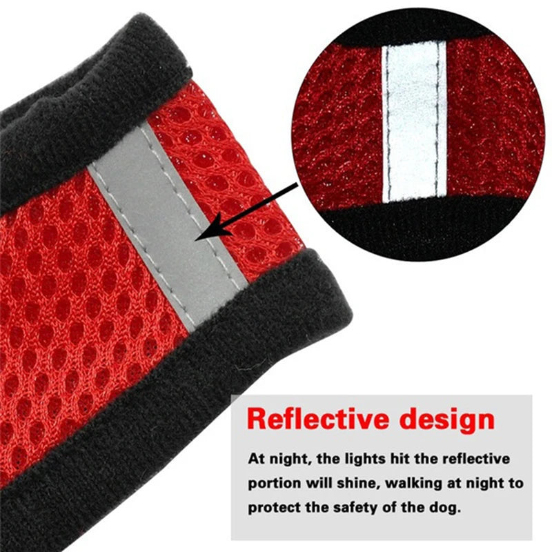 Cat Dog Harness for Small Dog & Cat