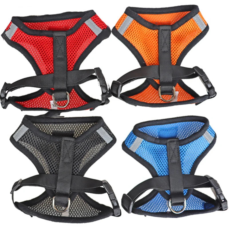 Cat Dog Harness for Small Dog & Cat