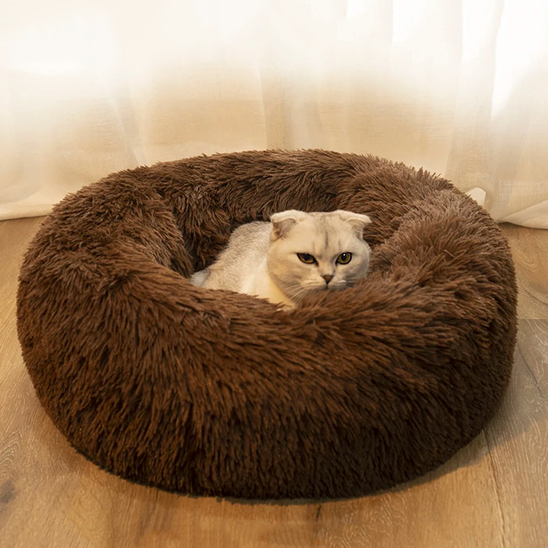 Pet Dog Bed