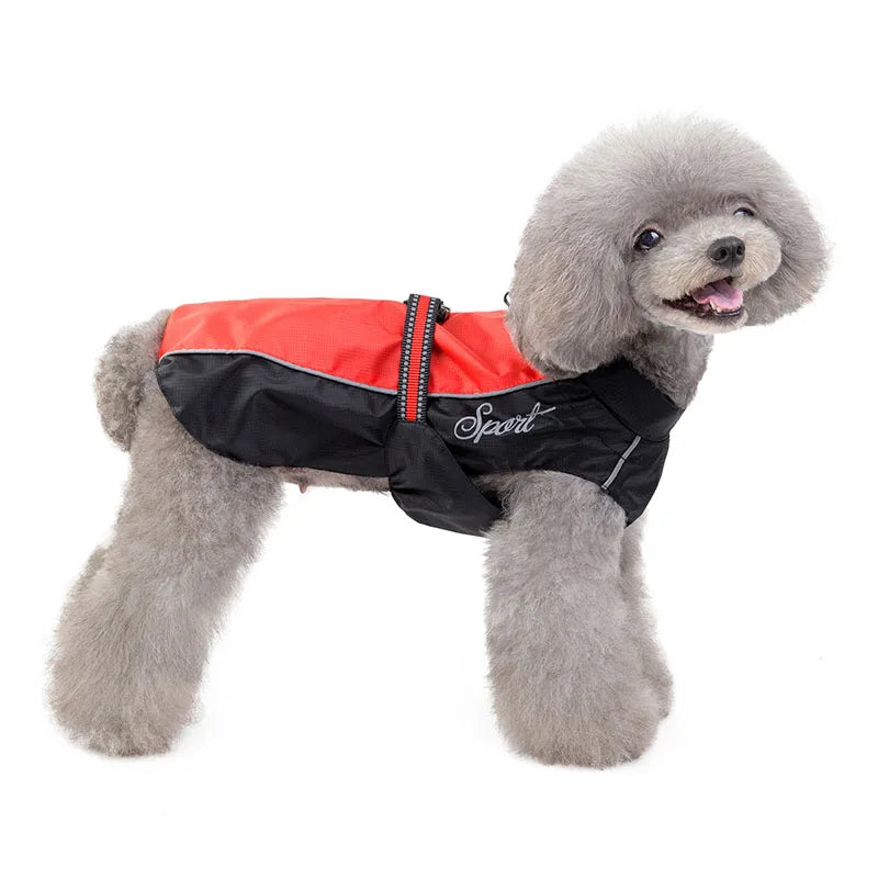 Dog & Cat Raincoat