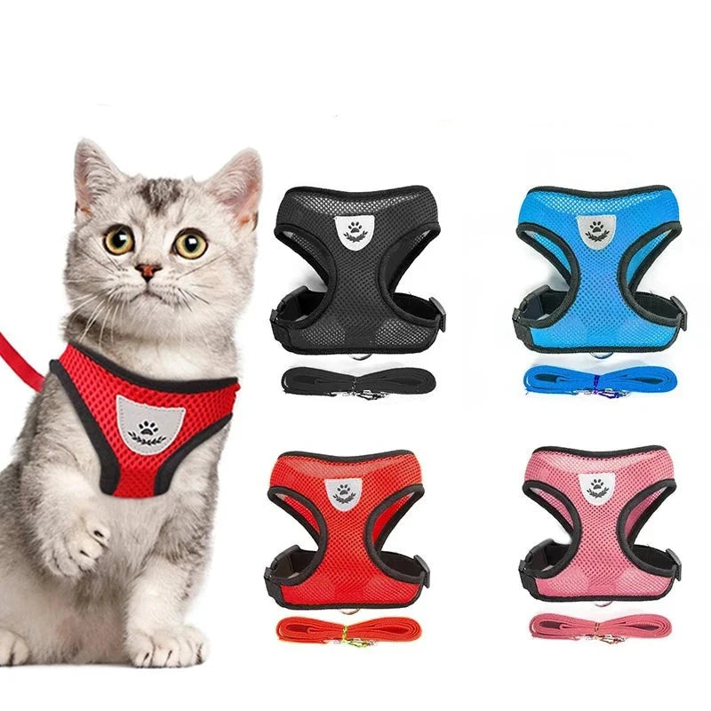 Cat Dog Harness for Small Dog & Cat