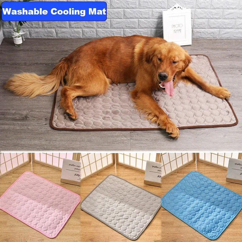 Dog Cooling Mat in Summer