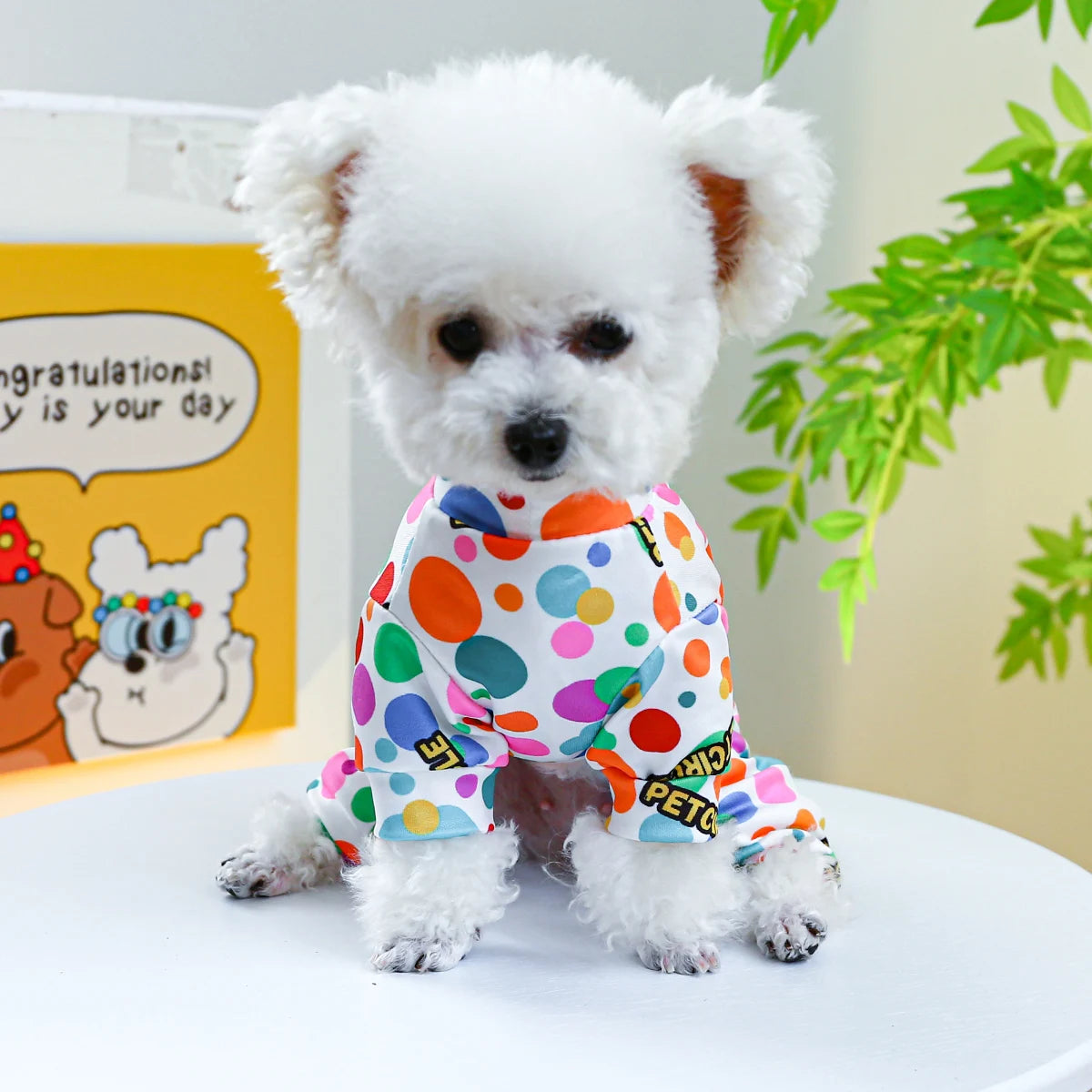 1PC Pet Apparel Dog & Cat