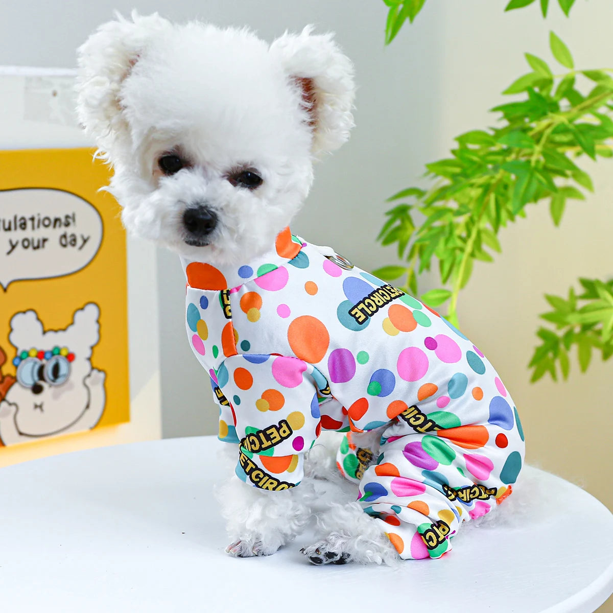 1PC Pet Apparel Dog & Cat