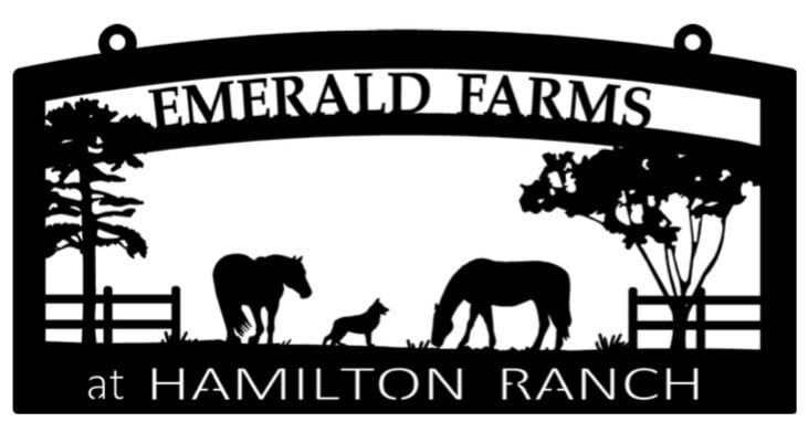 Large Personalized Metal Sign HORSES DOG Fence CAT