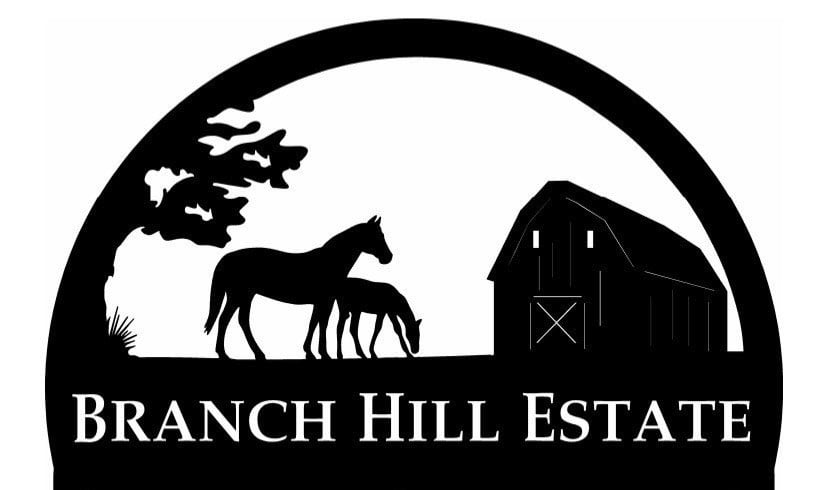 Horse mailbox sign, Double sided metal mailbox sign on base with your name