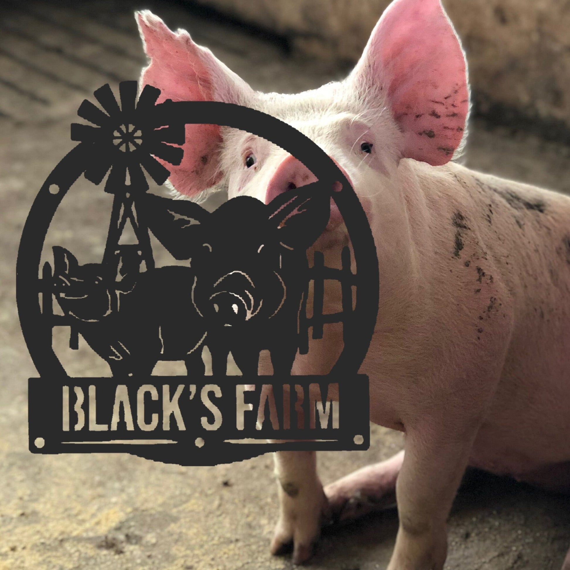 Custom Pigmetal Farm Metal Sign, Custom Pig Farm Sign, Custom Bbq Pig Farmhouse Decor, Farmer Name Sign,farmer Gift