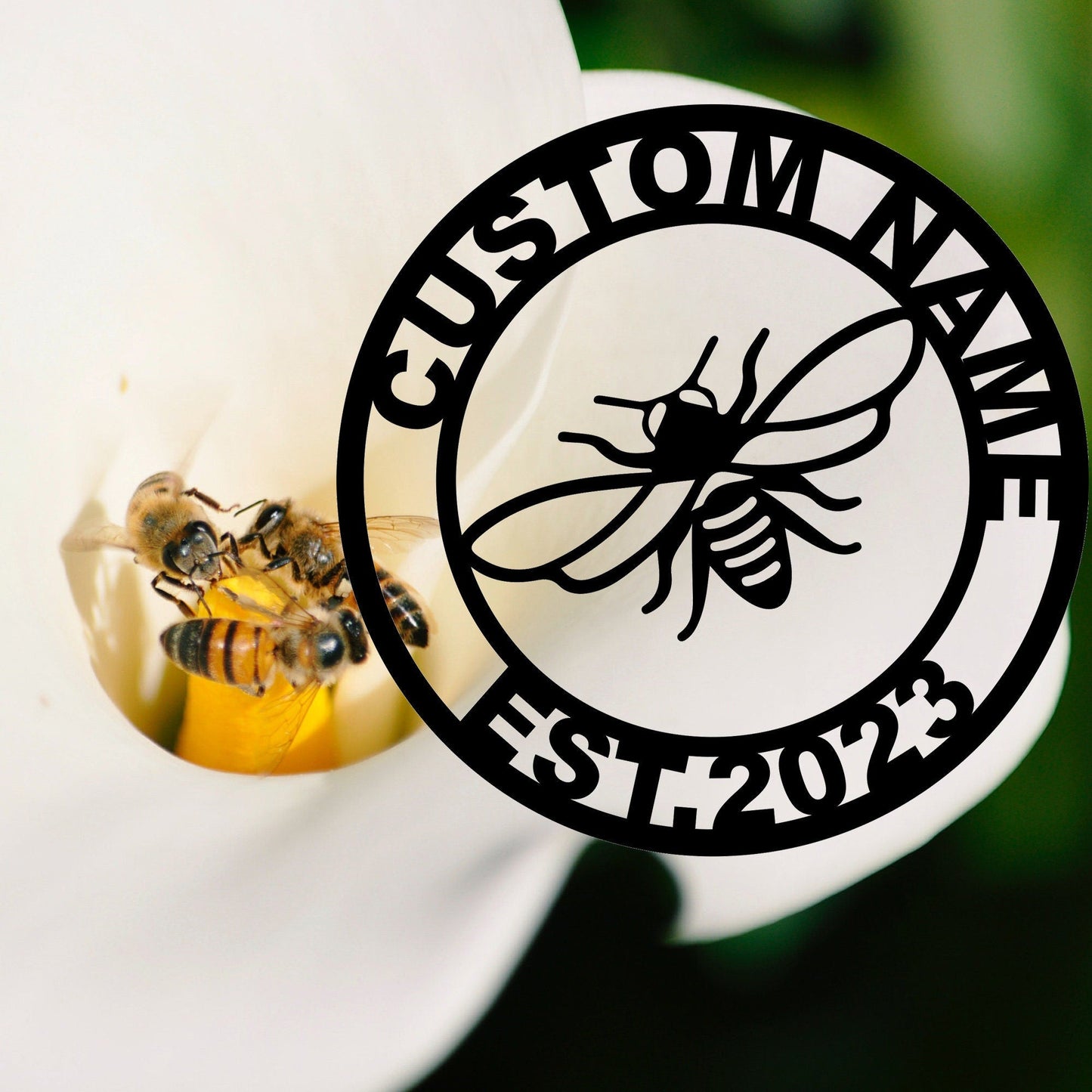Personalized Bee Metal Signs, Bee Metal Wall Art, Custom Bee Name Signs, Bee Decor, Garden Decor, Yard Decor, Outdoor Decor Beekeeper Gifts