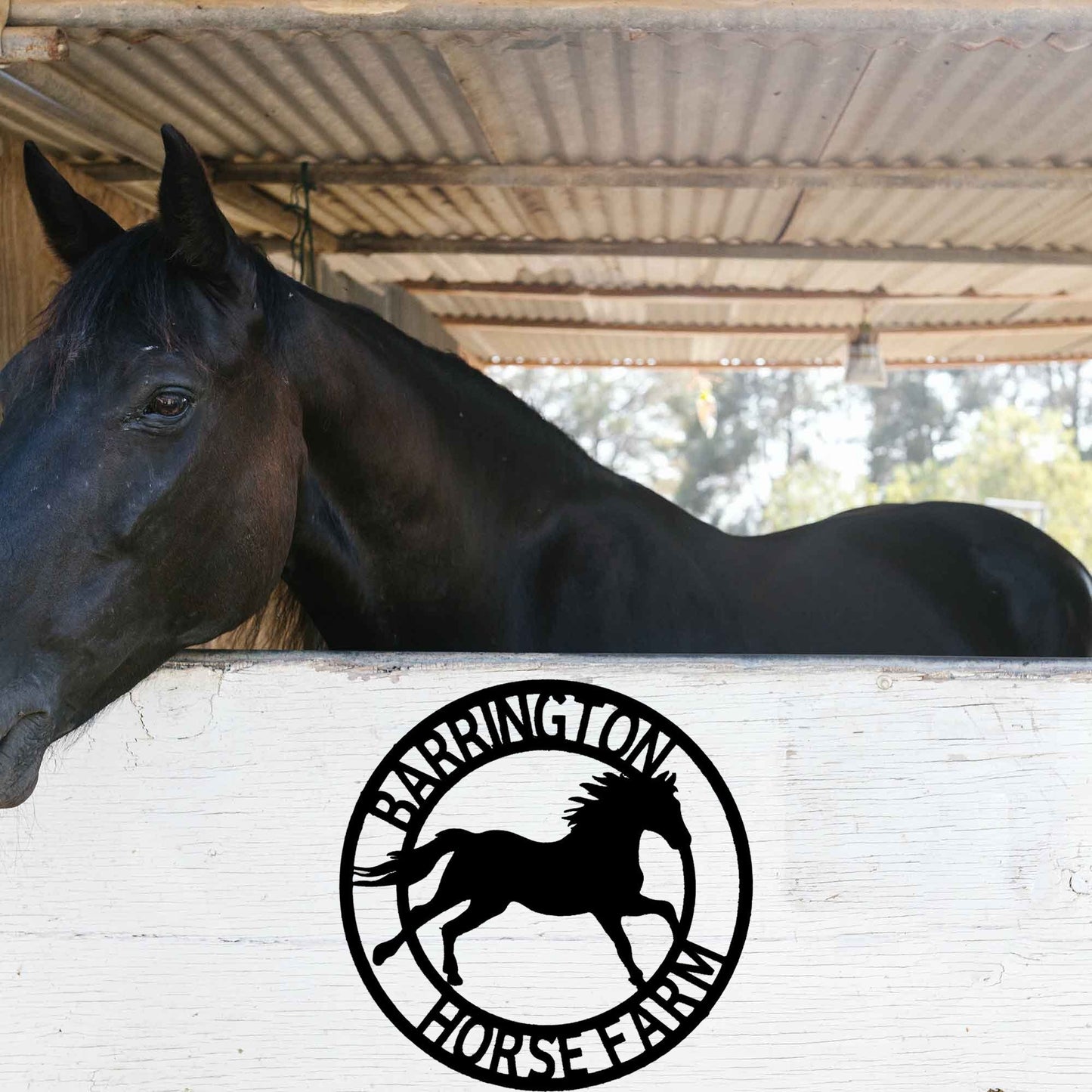 Customizable Horse Sign, Horse Wall Art, Outdoor Farm Decorations, Metal Decorations, Custom Crafts, Handmade Signs, Gifts For Friends