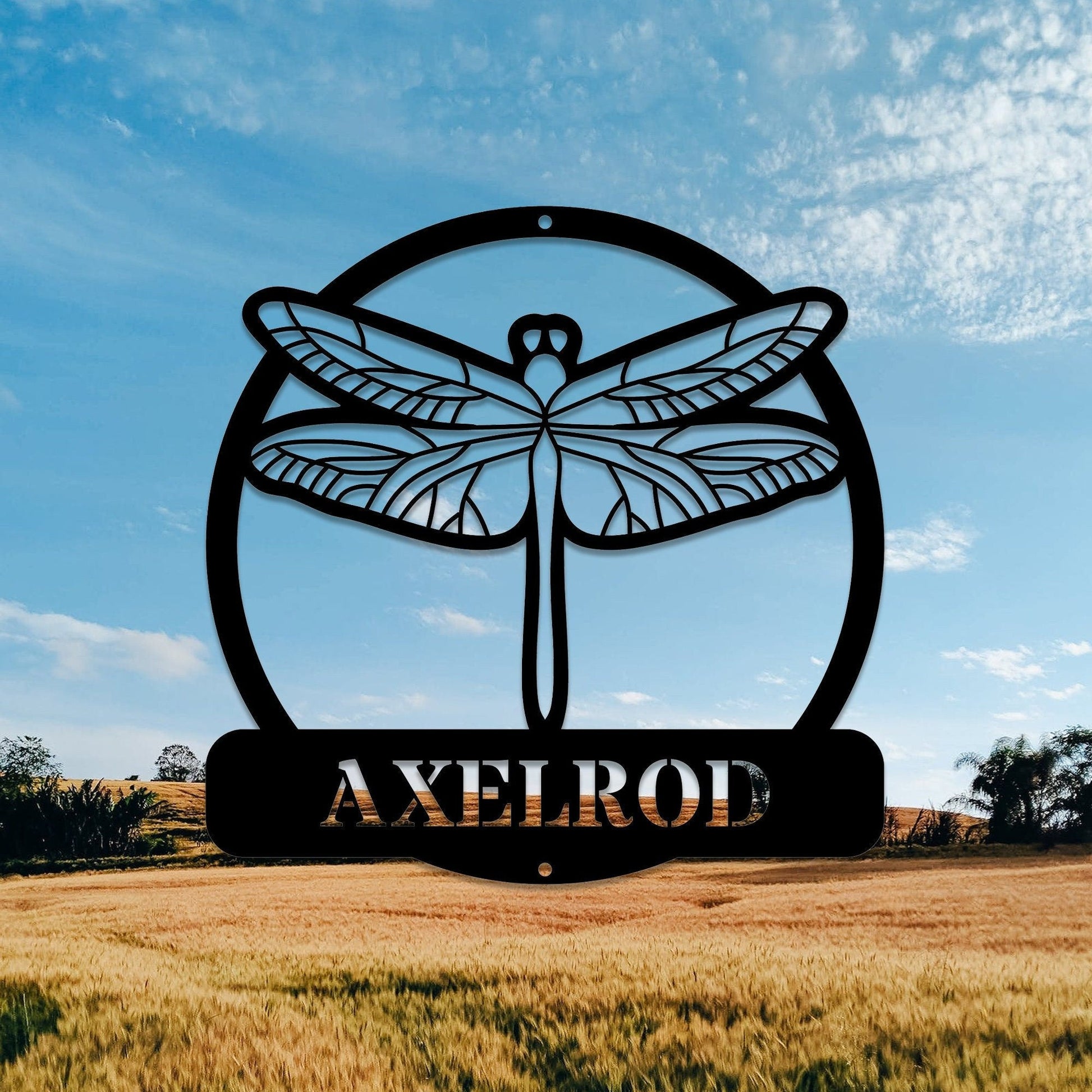 Personalized Dragonfly DoorHangerMetal WallArt/Dragonfly MonogramNameSign/CustomLast Name Address Sign/Housewarming Mother'sDay Gift/LEDSign