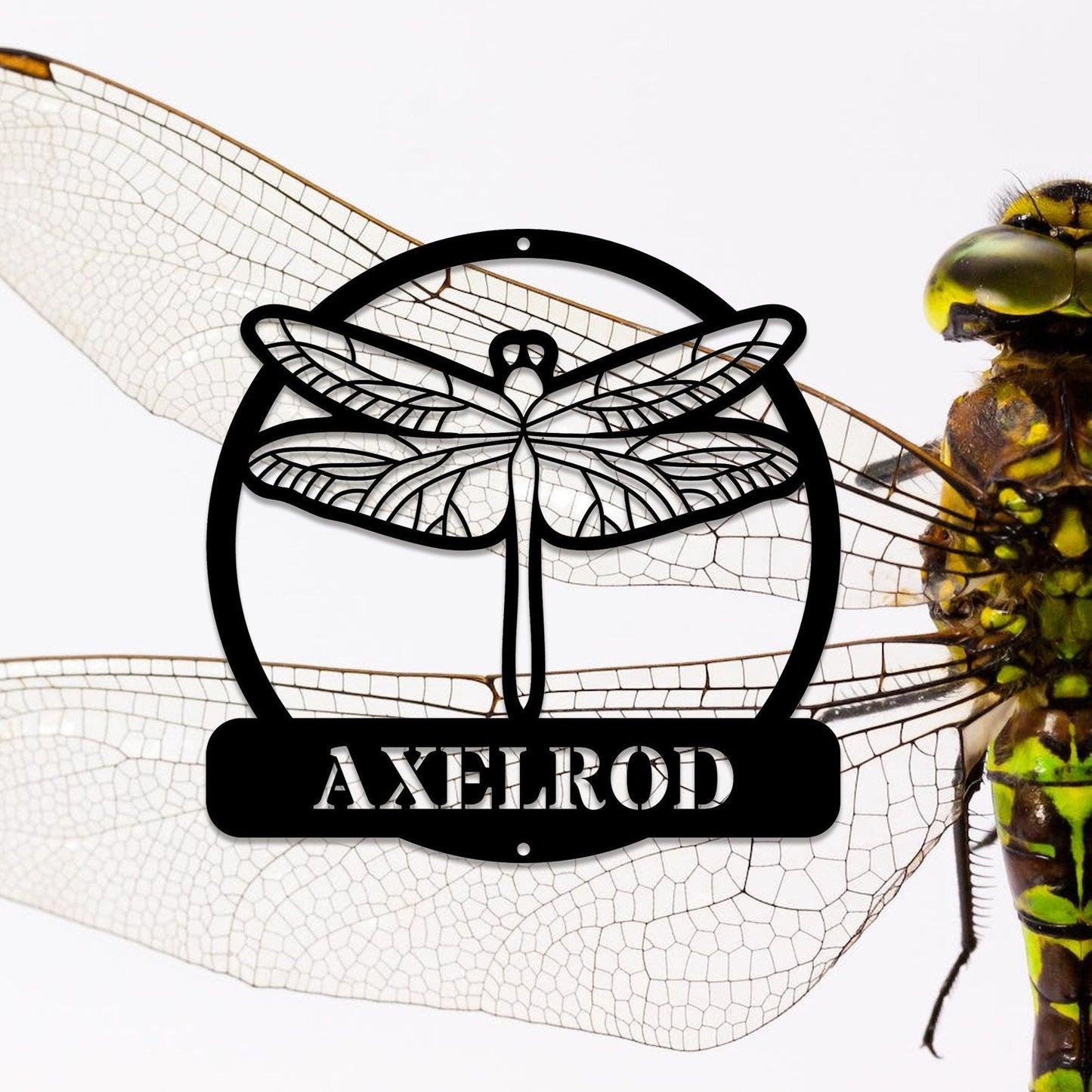 Personalized Dragonfly DoorHangerMetal WallArt/Dragonfly MonogramNameSign/CustomLast Name Address Sign/Housewarming Mother'sDay Gift/LEDSign